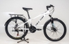 Xe đạp địa hình Hector Rider 1B 24 Inch