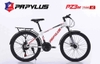 Xe đạp địa hình Papylus PZ3 24 Inch
