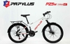 Xe đạp địa hình Papylus PZ5 24 Inch