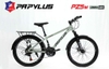 Xe đạp địa hình Papylus PZ5 24 Inch