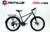 Xe đạp địa hình Papylus PZ5 24 Inch
