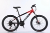 Xe đạp địa hình VICKY VF6 bánh 26 inch
