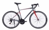 Xe đạp đua Road bike Fascino 848