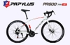 Xe đạp đua Papylus PR600