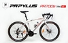 Xe đạp đua Road bike Papylus PR700s