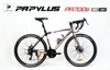 Xe đạp đua Road bike Papylus PR700s