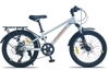 Xe đạp Fornix HS20 20 IN