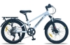 Xe đạp Fornix HS20 20 IN