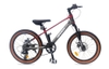 Xe đạp Miamor Thunder 20 Inch