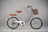 Xe đạp mini Canifa Y500 bánh 20 inch  không đề