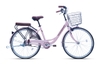 Xe đạp mini Thống Nhất URBAN CITY 24