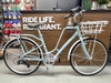 Xe đạp Momentum 2026 iNeed Latte 26 Inch