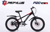 Xe đạp Papylus P20