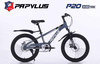 Xe đạp Papylus P20
