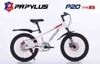 Xe đạp Papylus P20