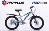 Xe đạp Papylus P20