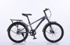 Xe đạp QT 120 20 Inch