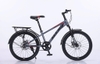 Xe đạp QT 122 22 Inch