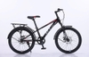 Xe đạp QT 122 22 Inch