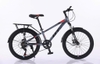 Xe đạp QT 622 22 Inch