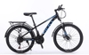 Xe đạp thể thao Vicky VIC26 2024