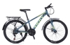 Xe đạp thể thao Vicky VIC26 2024