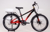 Xe đạp trẻ em Hector Ares 3B 22 Inch