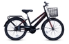 Xe đạp trẻ em Thống Nhất GN 06 - 20 inch