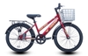 Xe đạp trẻ em Thống Nhất GN 2.0 20 Inch