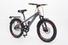 Xe đạp Winner MTB 20 inch