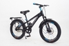 Xe đạp Winner MTB 20 inch