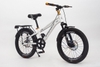 Xe đạp Winner MTB 20 inch