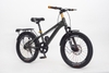 Xe đạp Winner MTB 20 inch