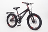 Xe đạp Winner MTB 20 inch