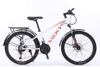 Xe đạp thể thao Vicky VIC26 FURY