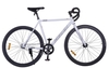 Xe đạp Fixed Gear Fornix BF200