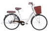 Xe đạp mini Thống Nhất NEW 24