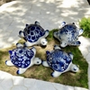 Rùa vẽ GM 8x16