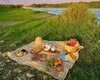 Cuối tuần đi picnic cần chuẩn bị gì?