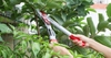 Kéo cắt cành trợ lực Chikamasa LP-400