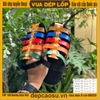 Dép màu sắc công nghệ mới, không đen chân mẫu Rọ Ngũ Hành, đế cao 2cm