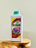 HL ATYSOL (  THẢO DƯỢC GIẢI ĐỘC GAN )