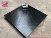 can-san-dien-tu-zemic-500kg