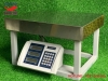 can-ban-ghe-ngoi-60kg-xk3118t12