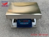 can-ban-dien-tu-60kg