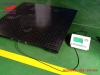 dau-can-dien-tu-a12-xk3190-a12