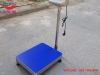 can-ban-dien-tu-100kg