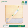 BAMBOO chiếu trúc