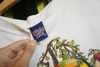 VINTAGAE JUNGLE TEE