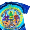 VINTAGE GREATFUL DEAD SUMMERTIME TSHIRT 2001 LIQUID BLUE